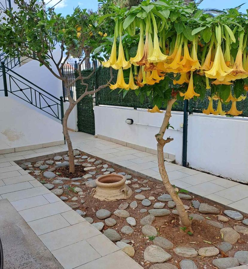 Dimitris Place Near Athens Airport Koropíon Exterior foto